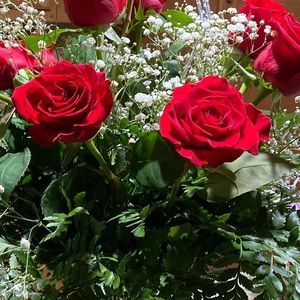 Meet your Posher, Rita